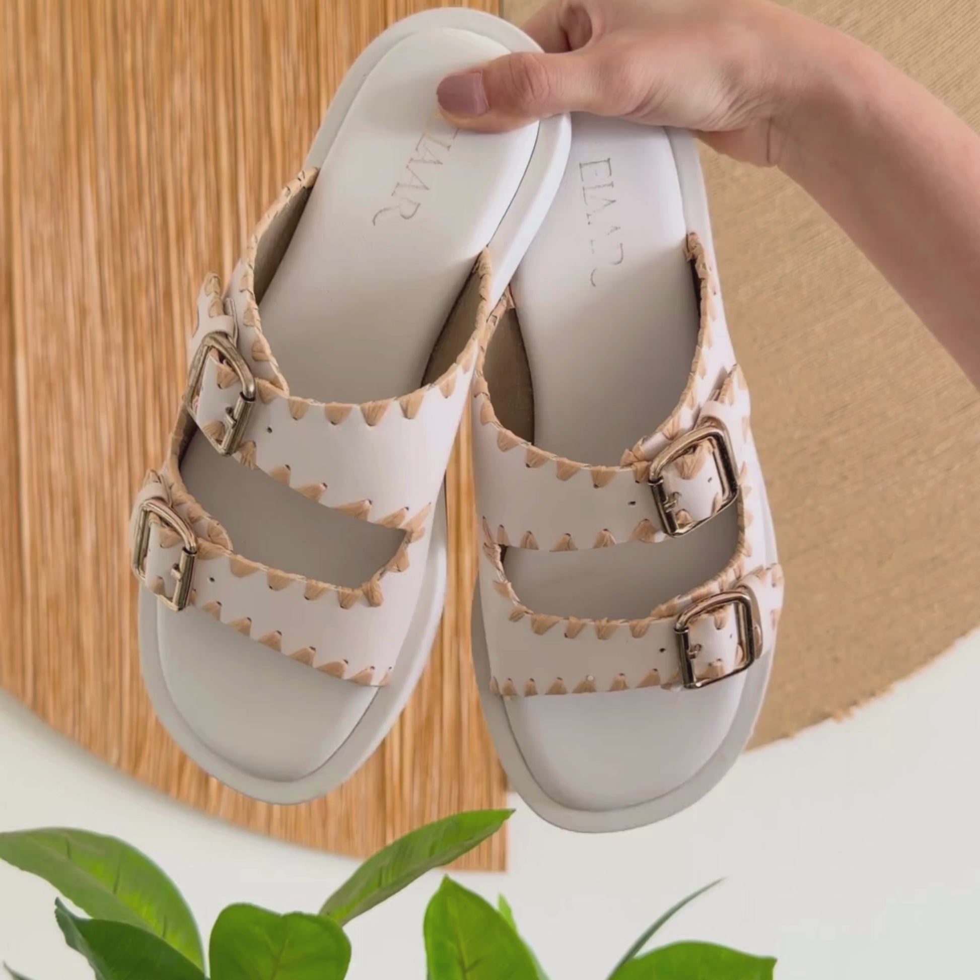 Ivory Artisanal Slides